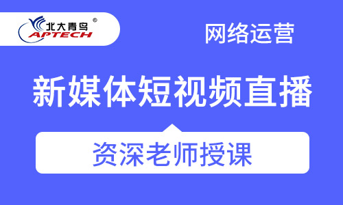 新媒体短视频直播运营