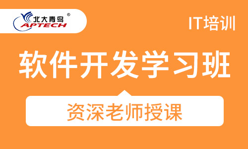 软件开发学习班