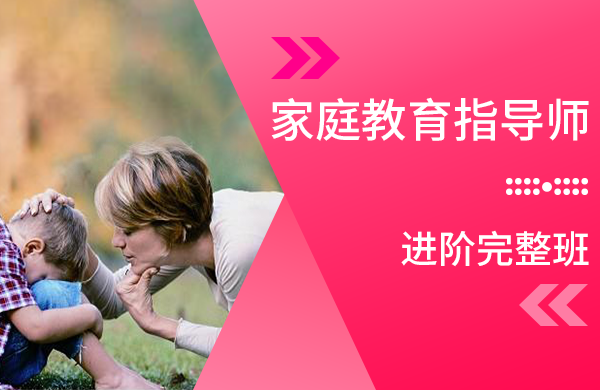 家庭教育指导师【进阶完整班】